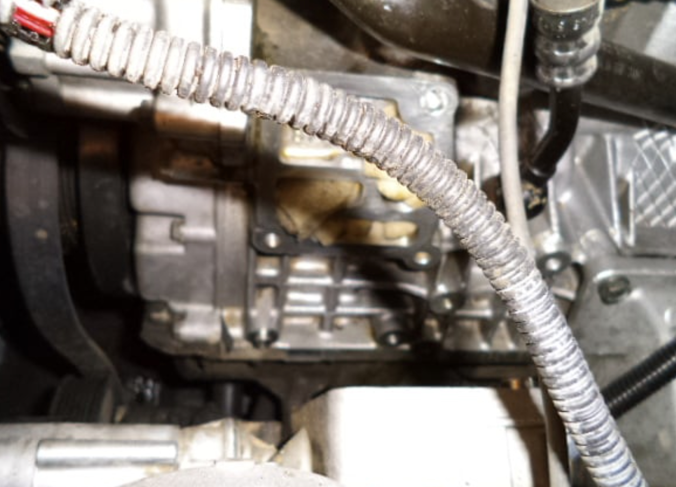 an image of Garden Grove spark plugs and ignition coils